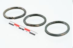 Foto von Bronzering (NHMW-PRAE-025834)